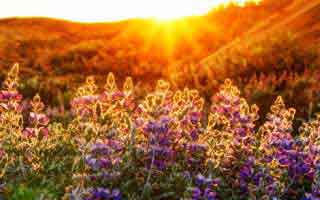 如果你总找不到想看的,51视频网站想更清爽:从片单规划开始最有效(真相有点反常识)