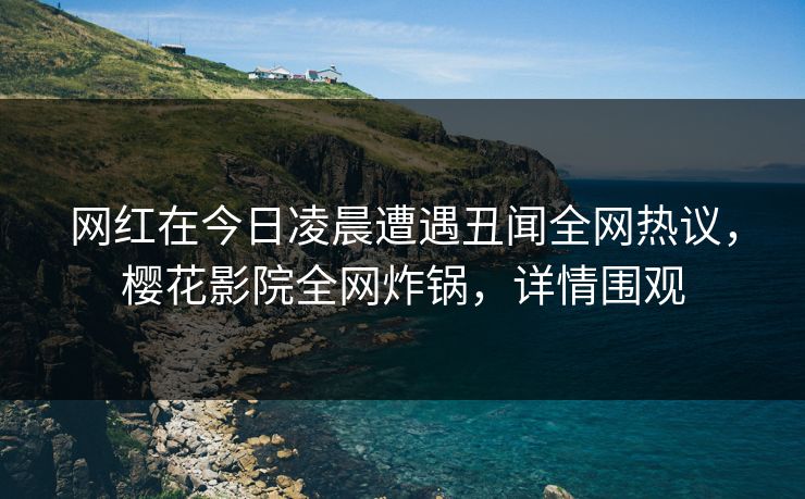 网红在今日凌晨遭遇丑闻全网热议，樱花影院全网炸锅，详情围观