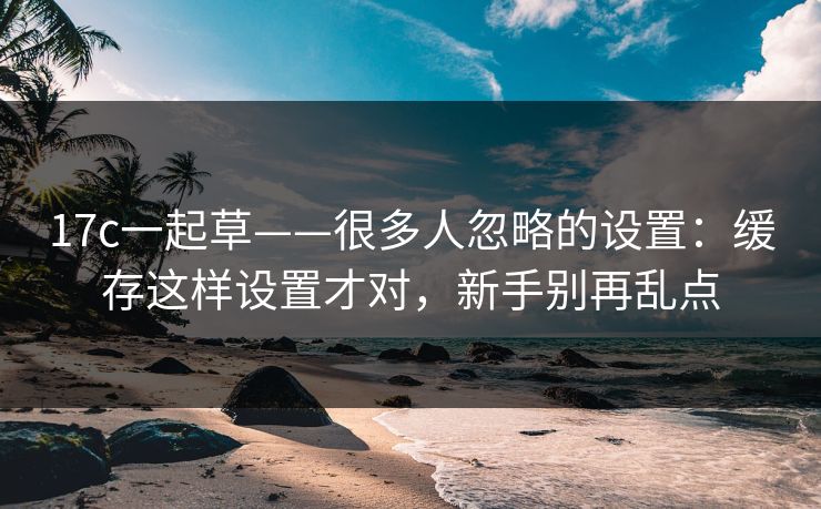 17c一起草——很多人忽略的设置：缓存这样设置才对，新手别再乱点