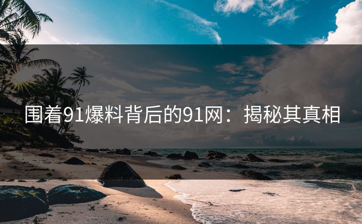 围着91爆料背后的91网：揭秘其真相